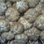 Ghribas à la poudre d’amandes